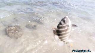 Морская рыбалка. Что по берегу и свалу.