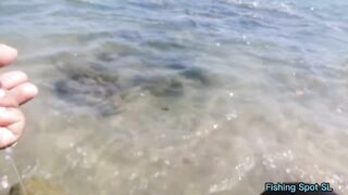 Морская рыбалка. Что по берегу и свалу.