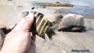 Морская рыбалка. Что по берегу и свалу.