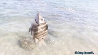 Морская рыбалка. Что по берегу и свалу.