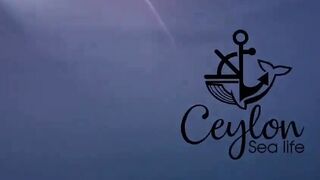 Pasikuda (Пассикуда), Шри-Ланка: пляж и жизнь рыбаков у берега