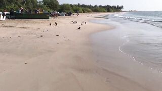 Pasikuda (Пассикуда), Шри-Ланка: пляж и жизнь рыбаков у берега