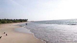 Pasikuda (Пассикуда), Шри-Ланка: пляж и жизнь рыбаков у берега