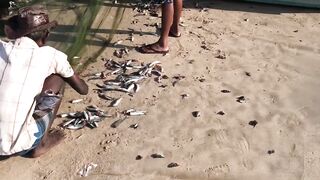 Pasikuda (Пассикуда), Шри-Ланка: пляж и жизнь рыбаков у берега