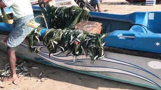 Pasikuda (Пассикуда), Шри-Ланка: пляж и жизнь рыбаков у берега