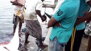 Pasikudah (Пассикуда), Шри-Ланка береговая рыбалка и чистая вода