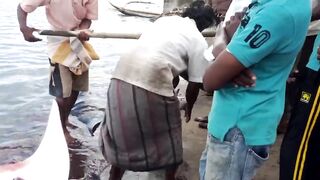 Pasikudah (Пассикуда), Шри-Ланка береговая рыбалка и чистая вода