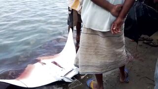 Pasikudah (Пассикуда), Шри-Ланка береговая рыбалка и чистая вода