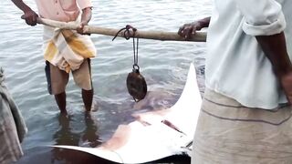 Pasikudah (Пассикуда), Шри-Ланка береговая рыбалка и чистая вода