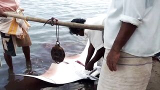 Pasikudah (Пассикуда), Шри-Ланка береговая рыбалка и чистая вода