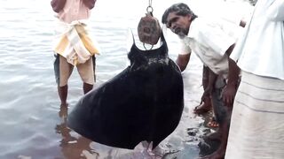 Pasikudah (Пассикуда), Шри-Ланка береговая рыбалка и чистая вода