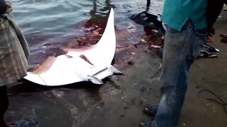 Pasikudah (Пассикуда), Шри-Ланка береговая рыбалка и чистая вода