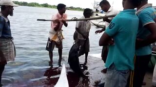 Pasikudah (Пассикуда), Шри-Ланка береговая рыбалка и чистая вода