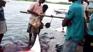 Pasikudah (Пассикуда), Шри-Ланка береговая рыбалка и чистая вода