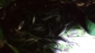 Nai Harn Beach (Най Харн) Пхукет Таиланд успешная рыбалка октябрь 2019