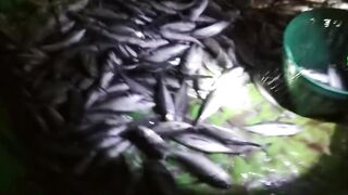 Nai Harn Beach (Най Харн) Пхукет Таиланд успешная рыбалка октябрь 2019