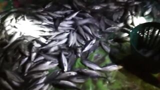 Nai Harn Beach (Най Харн) Пхукет Таиланд успешная рыбалка октябрь 2019