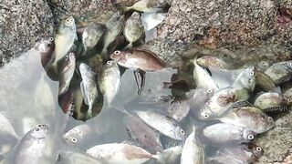 Nai Harn Beach (Най Харн), Пхукет. Нестандартные приёмы береговой рыбалки.