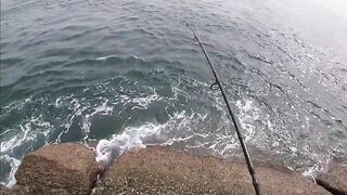 Nai Harn Beach (Най Харн): береговая рыбалка у пляжа