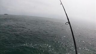 Nai Harn Beach (Най Харн): береговая рыбалка у пляжа