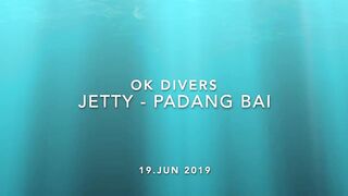 Padangbai (Падангбаи), Бали: защита рыбы у пирса, лето 2019