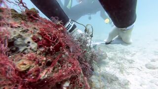 Padangbai (Падангбаи), Бали: защита рыбы у пирса, лето 2019