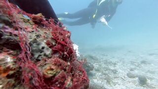 Padangbai (Падангбаи), Бали: защита рыбы у пирса, лето 2019