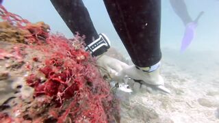 Padangbai (Падангбаи), Бали: защита рыбы у пирса, лето 2019