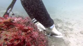 Padangbai (Падангбаи), Бали: защита рыбы у пирса, лето 2019