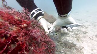 Padangbai (Падангбаи), Бали: защита рыбы у пирса, лето 2019