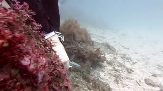 Padangbai (Падангбаи), Бали: защита рыбы у пирса, лето 2019