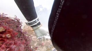 Padangbai (Падангбаи), Бали: защита рыбы у пирса, лето 2019