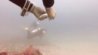 Padangbai (Падангбаи), Бали: защита рыбы у пирса, лето 2019