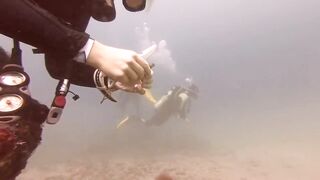 Padangbai (Падангбаи), Бали: защита рыбы у пирса, лето 2019