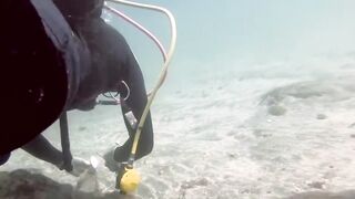 Padangbai (Падангбаи), Бали: защита рыбы у пирса, лето 2019