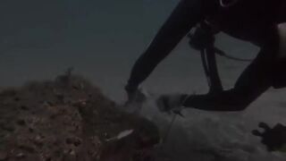 Padangbai (Падангбаи), Бали: защита рыбы у пирса, лето 2019