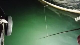 Halong Bay (залив Халонг): ночная ловля кальмара у берега