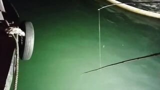 Halong Bay (залив Халонг): ночная ловля кальмара у берега