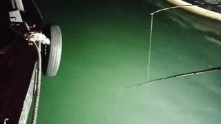 Halong Bay (залив Халонг): ночная ловля кальмара у берега