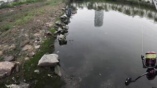 Ha Long (Халонг), Vietnam (Вьетнам): рыбалка и малоизвестные берега