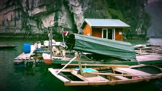 Ha Long (Халонг) рыбацкая деревня 2018 что по береговой рыбалке?