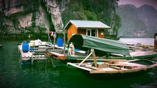 Ha Long (Халонг) рыбацкая деревня 2018 что по береговой рыбалке?