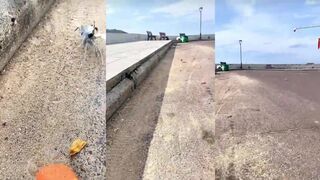 Quy Nhon (Куинён), Вьетнам. Краб на пляже и рыбалка рядом.