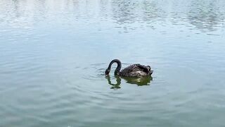 Quy Nhon (Куинён) FLC июнь 2020 береговая рыбалка и соревнования