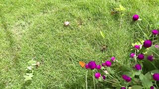 Quy Nhon (Куинён) FLC июнь 2020 береговая рыбалка и соревнования