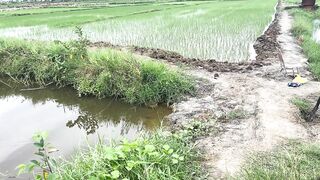Hoi An (Хойан) - прибрежные места для рыбалки и спокойная вода