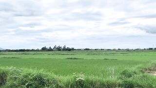 Hoi An (Хойан) - прибрежные места для рыбалки и спокойная вода