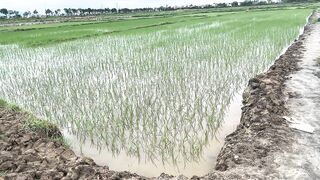 Hoi An (Хойан) - прибрежные места для рыбалки и спокойная вода