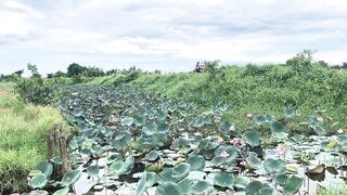 Hoi An (Хойан) - прибрежные места для рыбалки и спокойная вода
