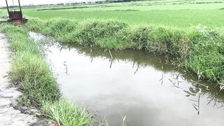 Hoi An (Хойан) - прибрежные места для рыбалки и спокойная вода